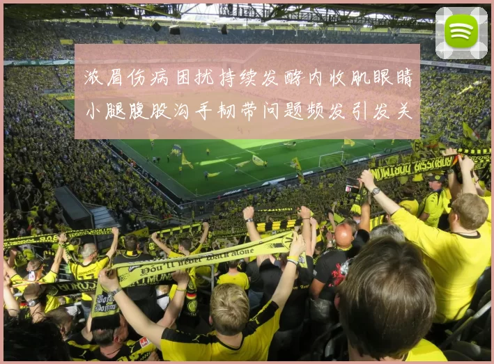 浓眉伤病困扰持续发酵内收肌眼睛小腿腹股沟手韧带问题频发引发关注